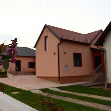 Agroturizam Opg Jakopovic Caglin Zewnętrze zdjęcie
